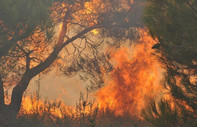 Kanada'da orman yangınları: 9 bin kişi tahliye edildi