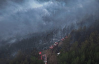İzmir Bergama'da orman yangını