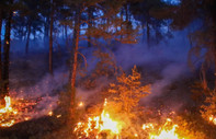 Uşak'ta orman yangınları: 11 ev tedbir amaçlı tahliye edildi
