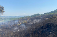 Ayvacık'taki orman yangını 2'nci gününde