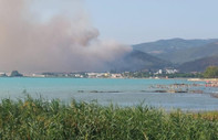 Bursa'da çıkan orman yangınına müdahale ediliyor