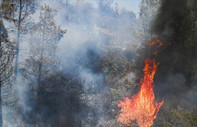 California'da orman yangınları: 6 bin 400 dönüm alan kül oldu, bölge sakinleri için tahliye emri verildi
