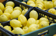 İstanbul'da temmuzda en çok limonun fiyatı arttı