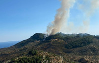 Çanakkale Ayvacık'ta orman yangını