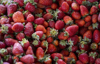Flavonoid bakımından zengin gıdalar incelendi: Demans riskini azaltabilir