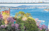 Boğaz’da erguvan yağmuru başladı
