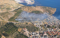 İzmir Dikili'de maki yangını
