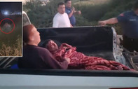 Hayvan parkından kaçan aslan vurularak etkisiz hale getirildi