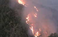 Hatay'da ormanlık alanda yangın çıktı