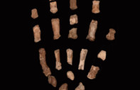CNN International: 1.5 milyon yıllık 'el' bulundu