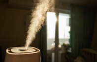 Evde virüslere karşı beklenmedik bir yardımcı: Hava nemlendiriciler