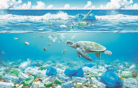 Bir deniz kaplumbağasını ne kadar plastik öldürebilir?