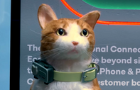 Artık onlar da sizi arayabilecek: Evcil hayvanlar için tasarlanan ilk akıllı telefon tanıtıldı