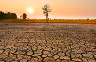 El Niño bu yıl geri dönebilir: Rekor sıcaklıklar kapıda mı?
