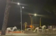 İtalya'da geçit törenine katılacak süvari birliğinin atları kaçtı: Dört kişi yaralandı