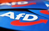 Saksonya-Anhalt'ta seçimleri aşırı sağcı AfD kazandı