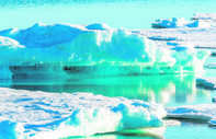 Kuzey Kutbu’nda dondu, 24 bin yıl sonra uyandı