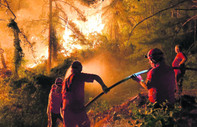 Akdeniz ormanları yangına bağımlıdır