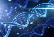 The Guardian inceledi: Uzun yaşamın sırrı yüzde 50 genetik peki diğer yüzde 50?