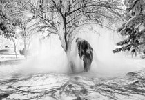 Mamut Art Project, 12. kez genç yetenekleri sahneye taşıyor