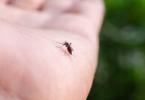 The Guardian yazdı: Yürümeyi bile işkenceye dönüştüren hastalık Avrupa'ya taşındı