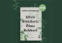 Her şey hakkında bir roman