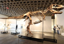 Milyarderler birbirine girdi: 67 milyon yıl önce yaşamış T-rex şimdiye kadar satılan en pahalı dinozor olabilir