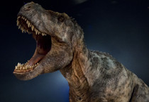 T-rex'in 66 milyon yıllık sırrı kırık kaburgada ortaya çıktı