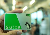 Japonya'nın sevilen pengueni emekli oluyor: Vedası alışveriş çılgınlığı yarattı