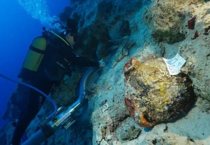 4 bin 700 yıllık gizem: Kekova'da dünyanın en eski batığına ait amforalar bulundu