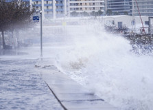 İstanbul'u lodos vurdu: Ağaçlar devrildi, çatılar uçtu