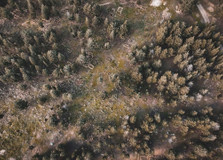 1300'lü yıllara tarihlendi: Gelibolu'da Rumeli'ye geçen ilk Türk akıncılara ait mezarlık ortaya çıktı