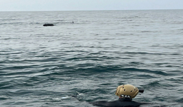 MSB: İğneada açıklarında tespit edilen mayın imha edildi