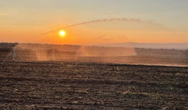 Konya Ovası'nda "iklim dostu" tarım modeli hayata geçiriliyor