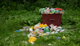 Avrupa’dan Türkiye’ye gönderilen plastik atık 2025’te rekor kırdı