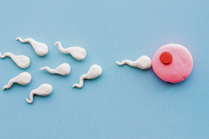 Dünya genelinde sperm kalitesi düşüyor: Geliştirilen jel, erkek kısırlığına çözüm olabilir