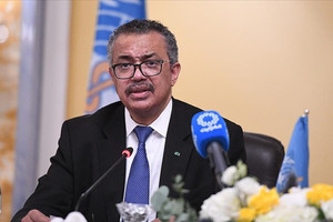 DSÖ: Afrika'da Ebola vakaları artacak