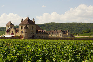 Avrupa’da gastronomi odaklı 5 lezzet rotası