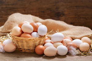 142 ülkeden çıkan yumurta kararı: Suçsuz!