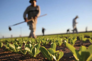Gübre ürün grubundaki bazı ürünlerin gümrük vergisi sıfırlandı