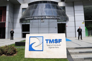 Tera Yatırım Teknoloji Holding’e TMSF kayyum olarak atandı