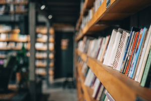 İkinci el kitap dünyasında gizem: Binlerce kitap yapay zeka için mi toplanıyor?