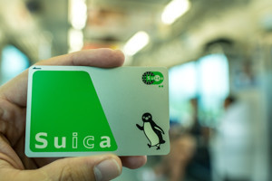 Japonya'nın sevilen pengueni emekli oluyor: Vedası alışveriş çılgınlığı yarattı