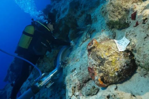 4 bin 700 yıllık gizem: Kekova'da dünyanın en eski batığına ait amforalar bulundu