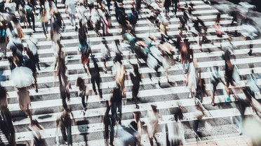 Orta sınıf düşer, toplum çürür!