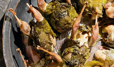 Yaşasın disiplinli ve programlı çalışma