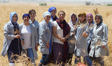 Toprakta karbon kötü bir şey değil!