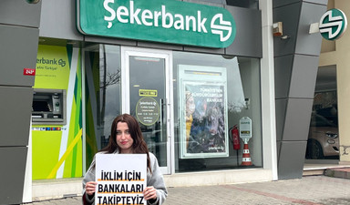 Aktivist hissedarlar bankaları takipte