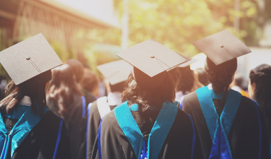 Üniversite diplomasının bir anlamı kaldı mı?