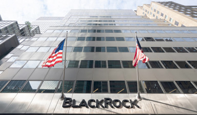 BlackRock neden geldi?